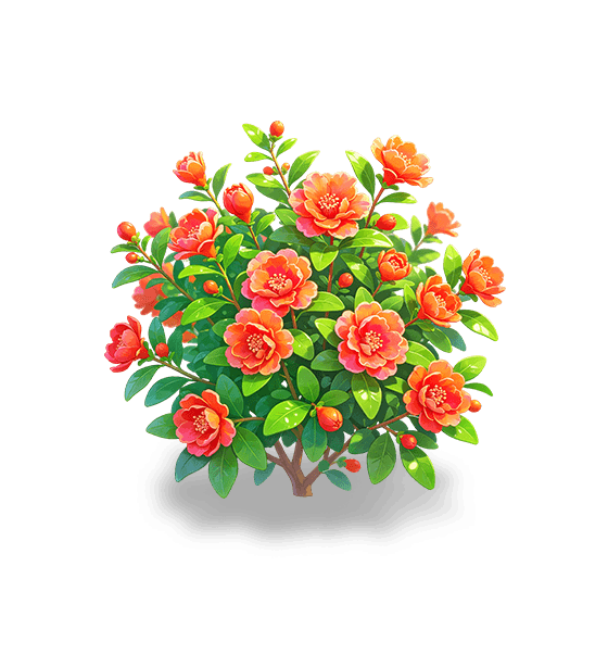 Floraison de grenade cramoisie