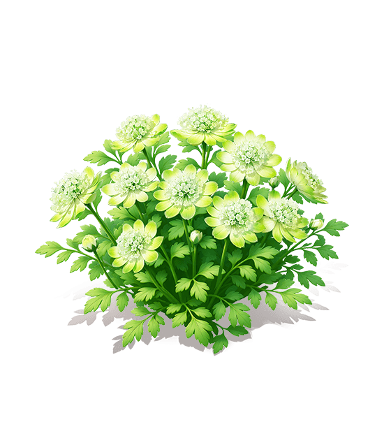 Cyan Silk Astrantia