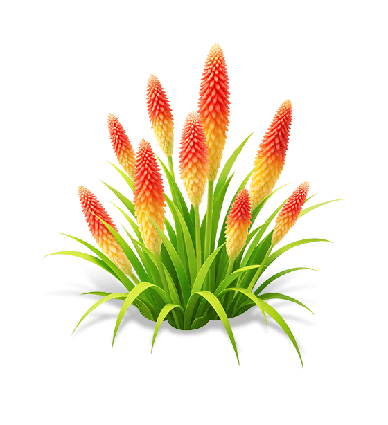 Molten Orange Torch Lily