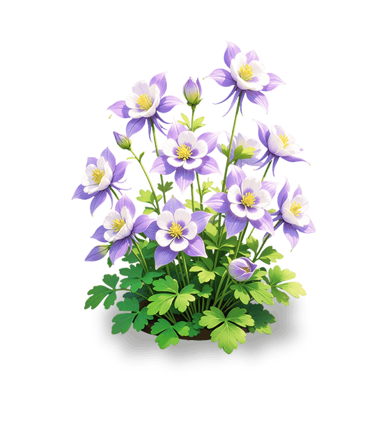 Starfall Columbine