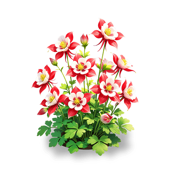 Scarlet Flame Columbine