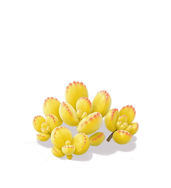Crimson-Edged Jade Cluster
