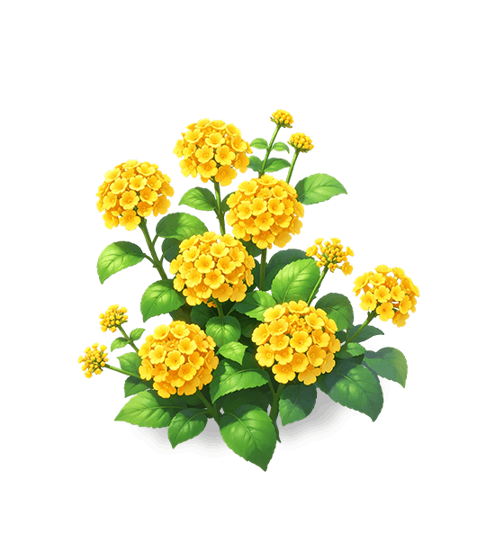 Golden Cluster Lantana