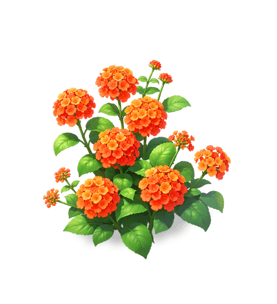 Vermilion Velvet Lantana