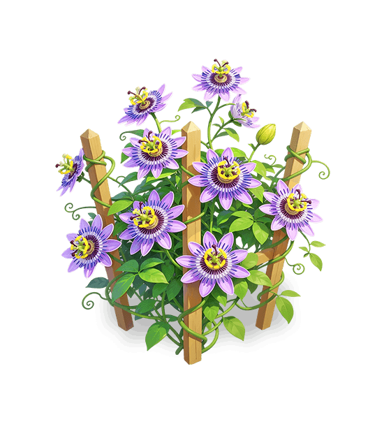Purple Starwheel Lotus
