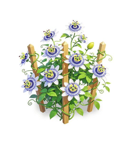 Indigo Core Lotus