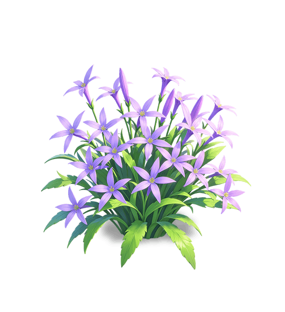 Twilight Purple Isotoma