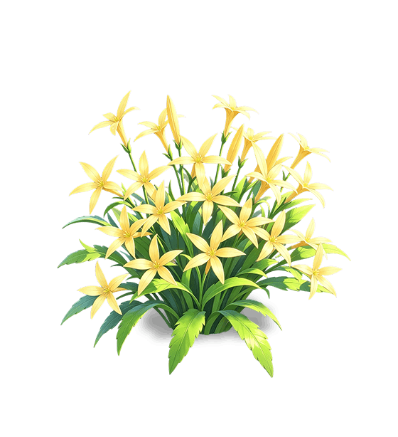 Radiant Gold Isotoma