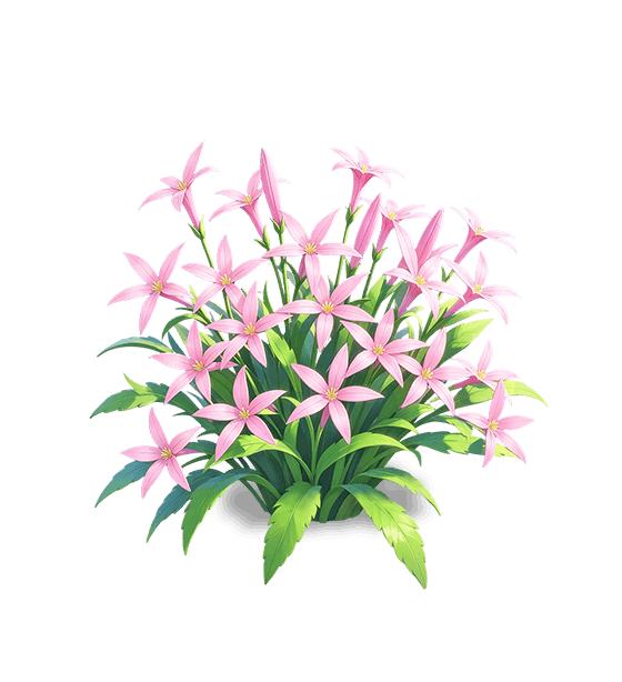 Pale Pink Isotoma