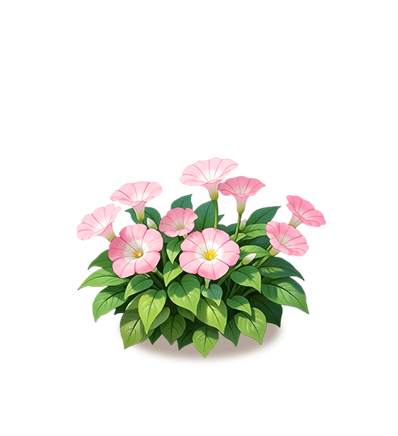 Soft Pink Petunia