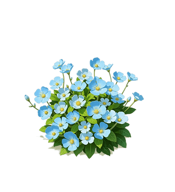 Blue Evening Primrose