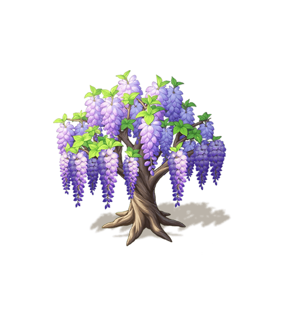 Glycine lunaire