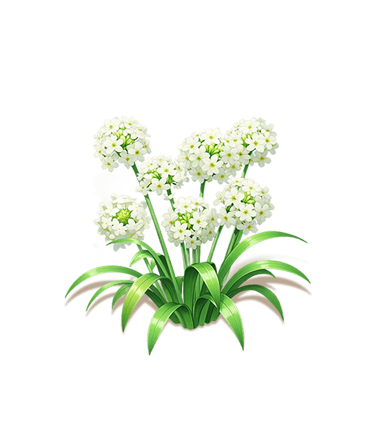 White Star of Bethlehem