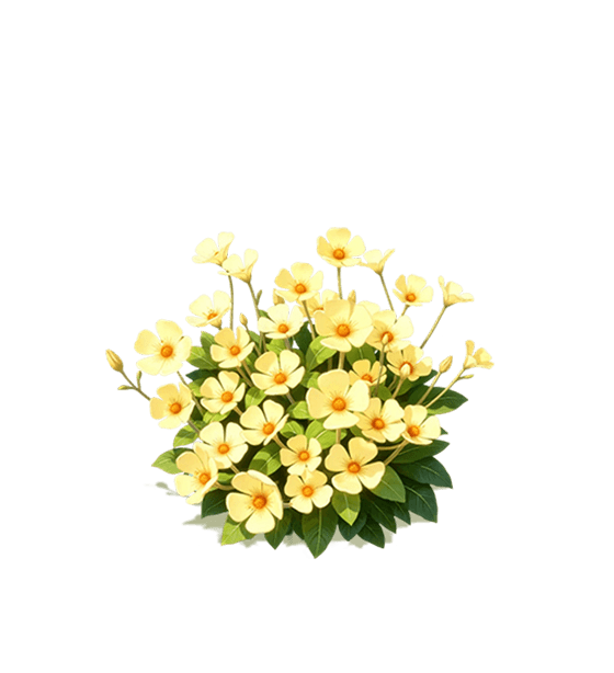 Yellow Evening Primrose