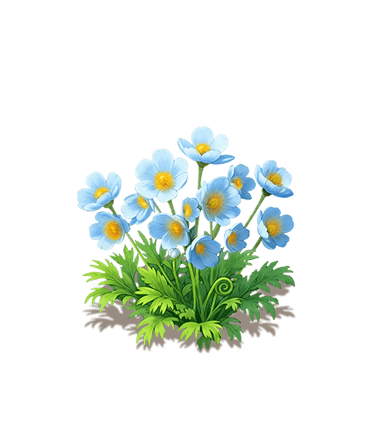 Blue Himalayan Poppy