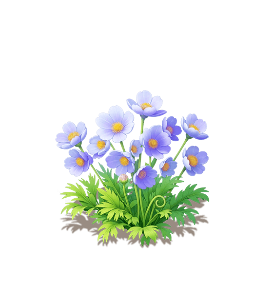 Violet Himalayan Poppy