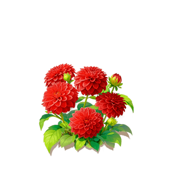 Crimson Dahlia