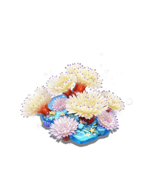White Sea Anemone