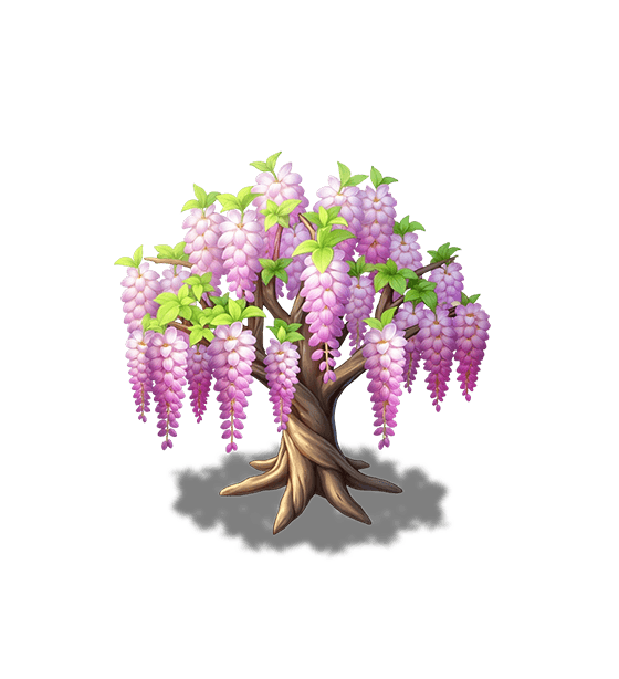 Pink Wisteria