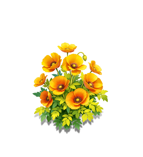Yellow-Orange Iceland Poppy