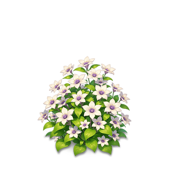 White-Purple Clematis