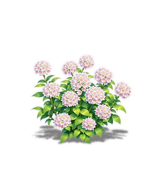 Light Pink Verbena