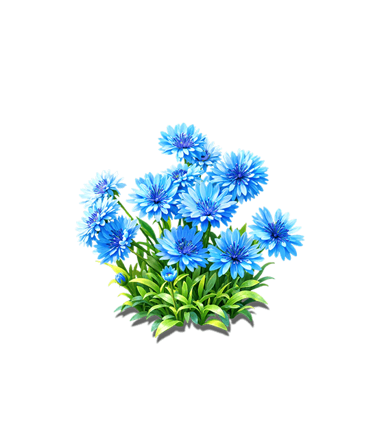 Blue Cornflower