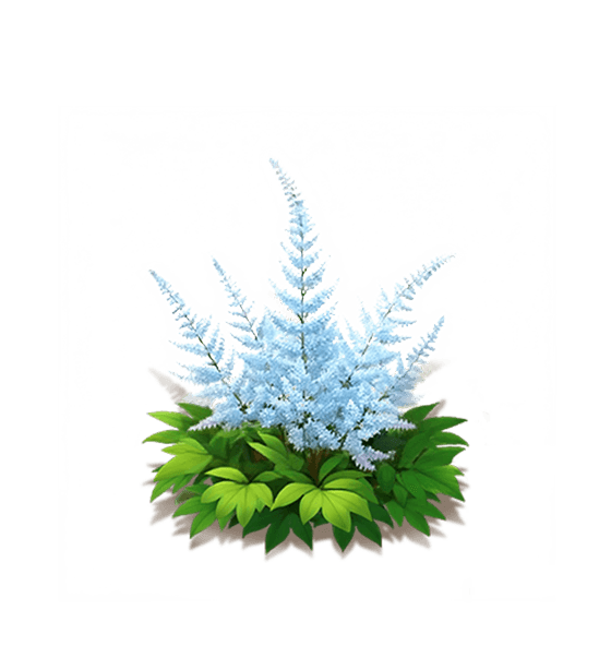 Light Blue Astilbe
