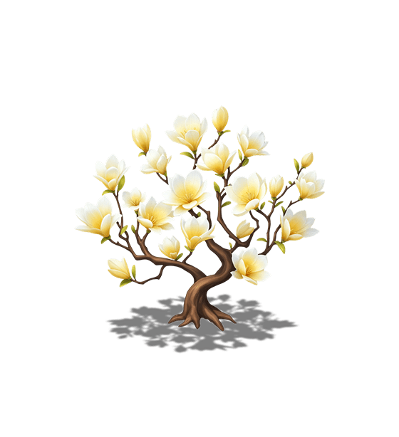 Yellow Magnolia