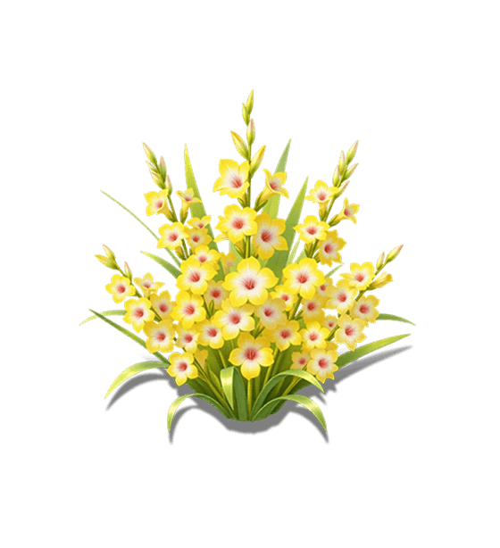 Yellow Gladiolus