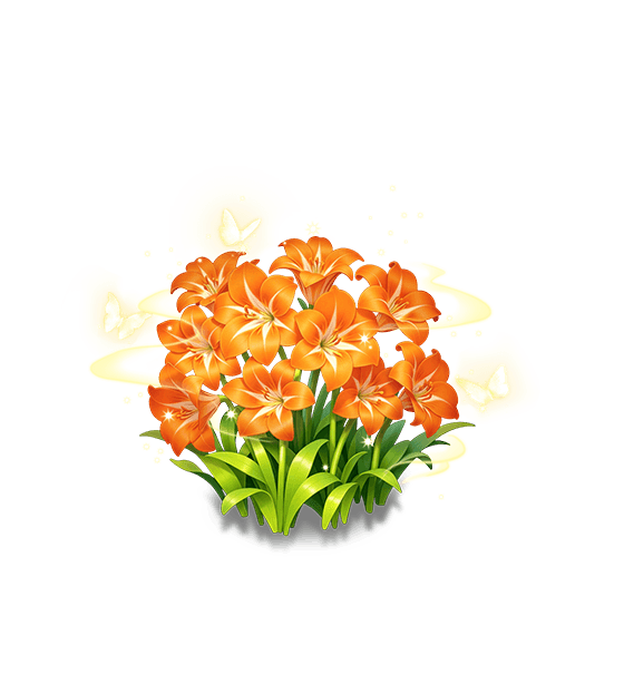 Orange Amaryllis