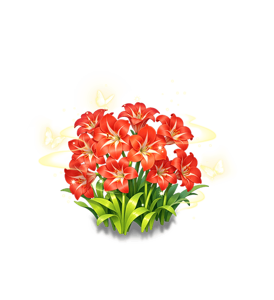 Red Amaryllis