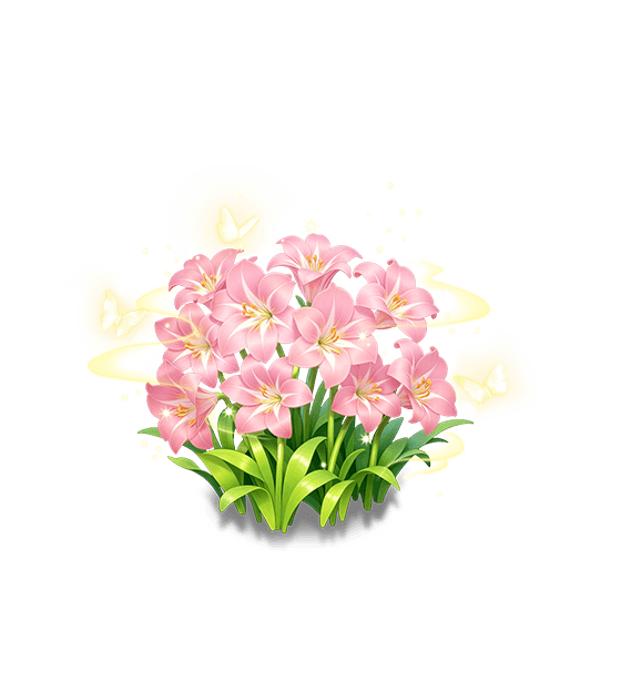 Pink Amaryllis