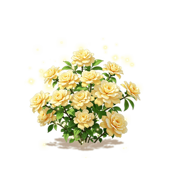 Yellow New Dawn Rose