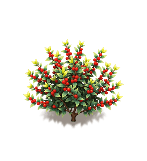 Red Winterberry