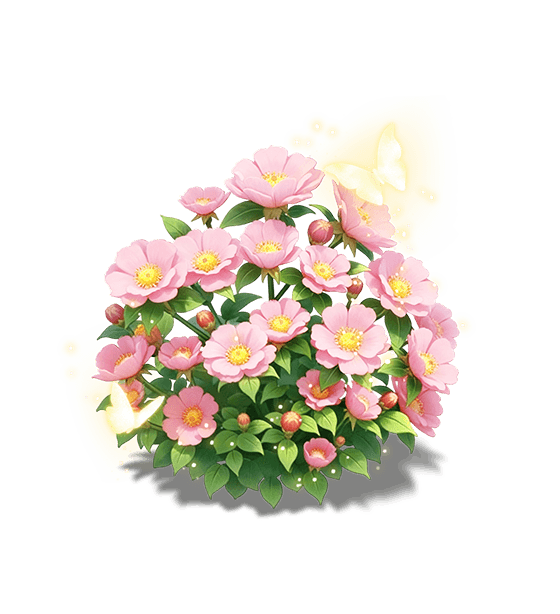 Rosa Rubus rose
