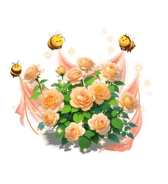 Rose bourdon orange