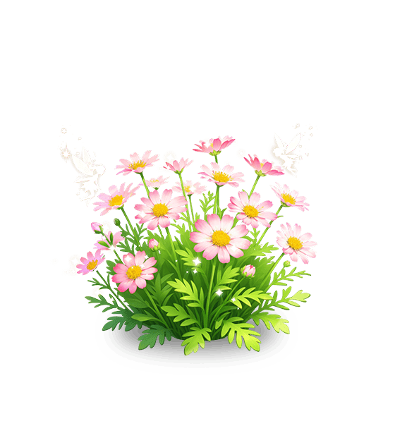 Marguerite rose