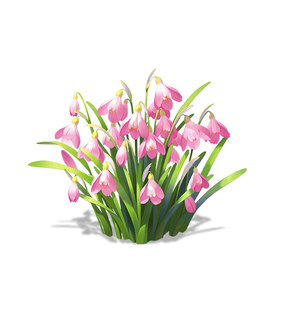 Flocon de neige rose