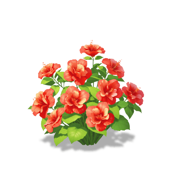 Hibiscus de Chine cramoisi
