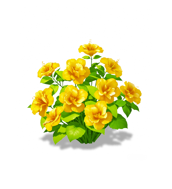 Hibiscus de Chine jaune