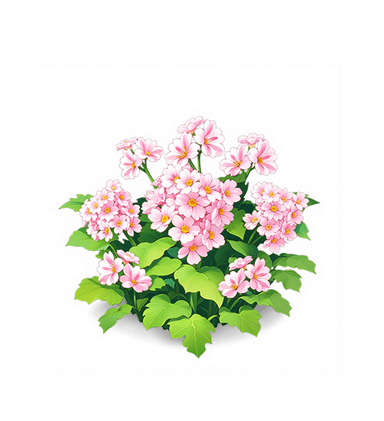 Jeune primevère rose