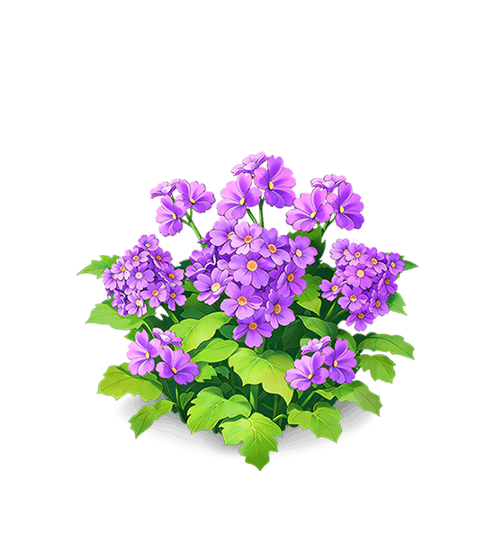 Jeune primevère violette