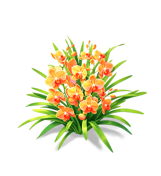 Cymbidium flamme orange