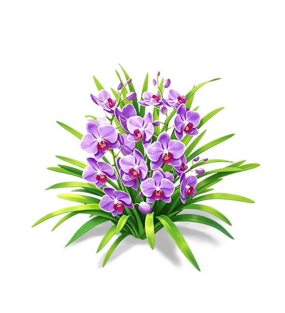 Cymbidium d'obsidienne violet