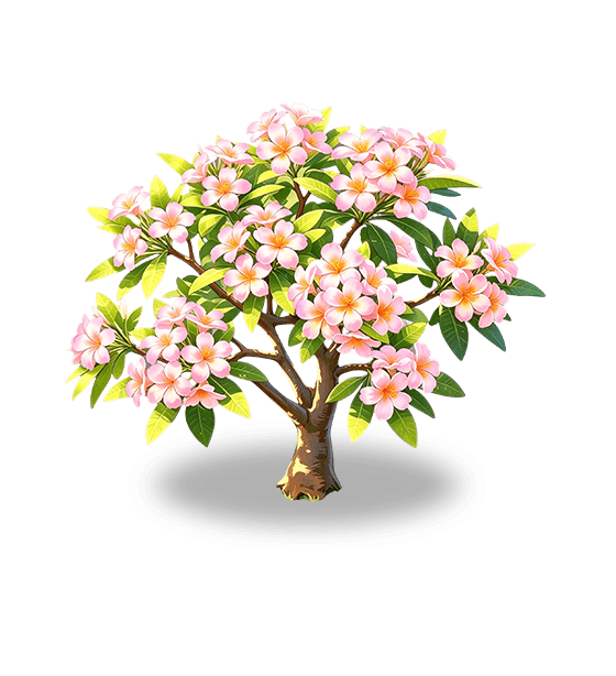 Plumeria rose cerise