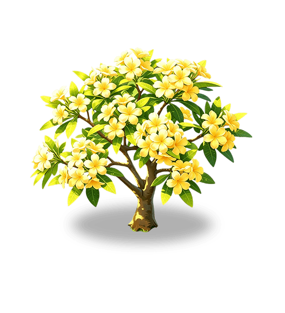 Plumeria jaune clair