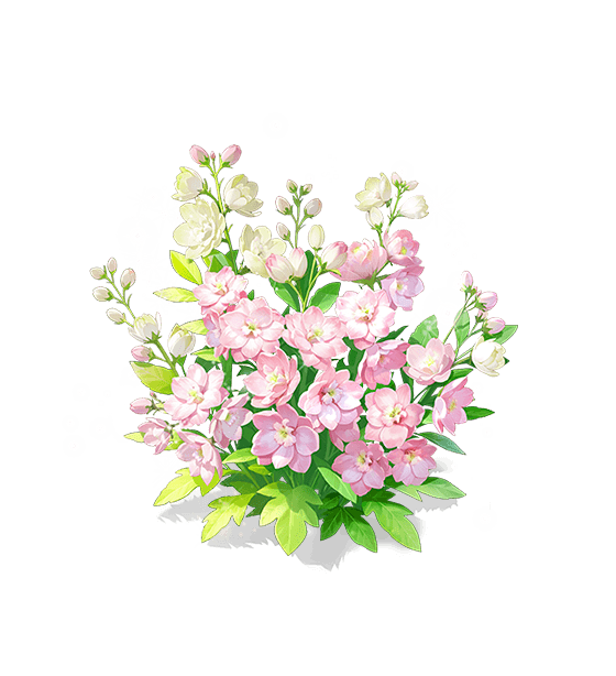 Pied-d'alouette rose clair