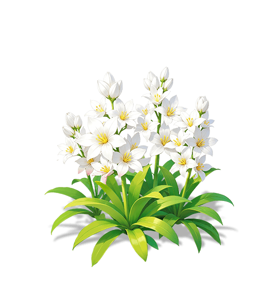 Tubéreuse blanc jade