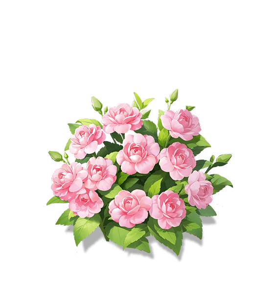Impatiente Rose Douce